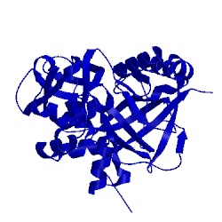 Image of CATH 2pic