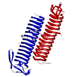 Image of CATH 2pig