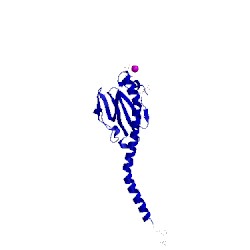Image of CATH 2pil