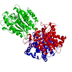 Image of CATH 2piz