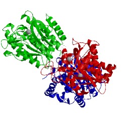 Image of CATH 2pjb