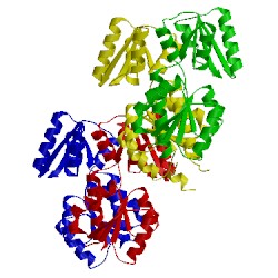 Image of CATH 2pju