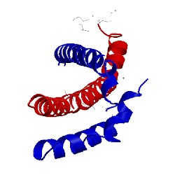 Image of CATH 2pjw