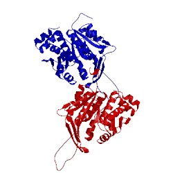 Image of CATH 2pkf