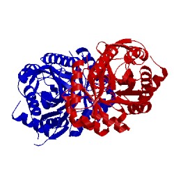 Image of CATH 2plk