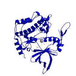 Image of CATH 2pml