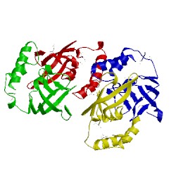 Image of CATH 2pn0