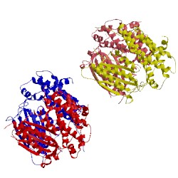 Image of CATH 2pnr