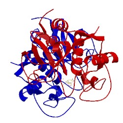 Image of CATH 2pns