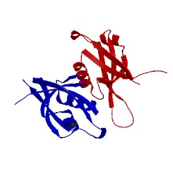 Image of CATH 2pnt