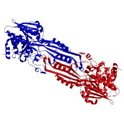 Image of CATH 2pok