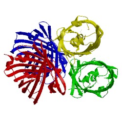Image of CATH 2pox