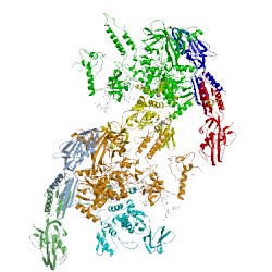 Image of CATH 2ppb