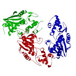 Image of CATH 2pqi