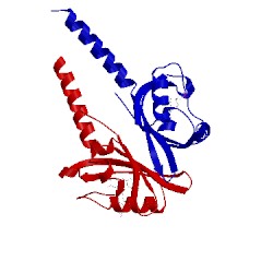 Image of CATH 2pr6