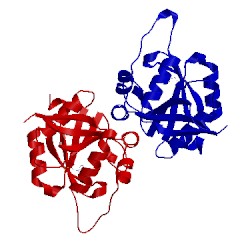 Image of CATH 2pr8