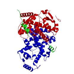 Image of CATH 2prg