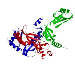 Image of CATH 2pro