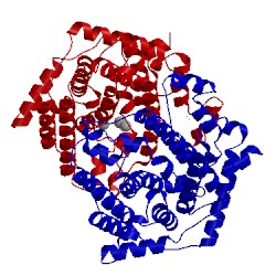 Image of CATH 2ps5