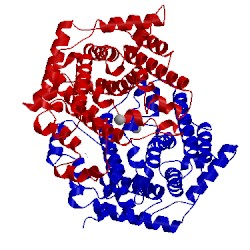 Image of CATH 2ps7