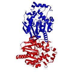 Image of CATH 2psf