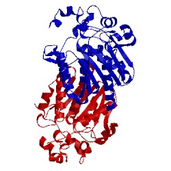 Image of CATH 2psh