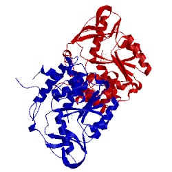 Image of CATH 2pt0