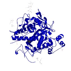 Image of CATH 2pt3