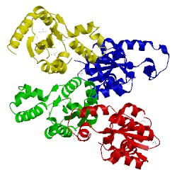 Image of CATH 2pt5