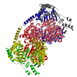 Image of CATH 2pt7