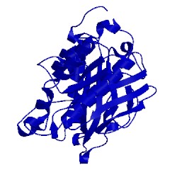 Image of CATH 2ptd
