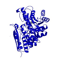 Image of CATH 2ptw