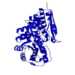 Image of CATH 2ptx