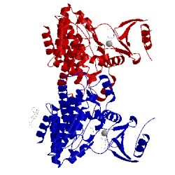Image of CATH 2pun