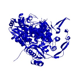 Image of CATH 2pus