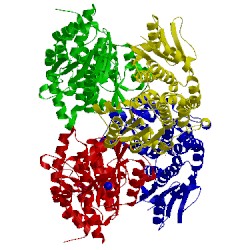 Image of CATH 2puv