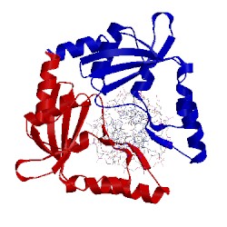 Image of CATH 2pvi