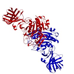 Image of CATH 2pvs