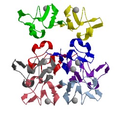 Image of CATH 2pvx