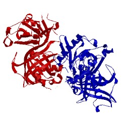 Image of CATH 2pw0