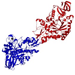 Image of CATH 2pwd