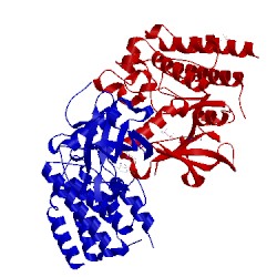 Image of CATH 2pwl