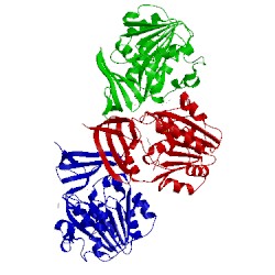 Image of CATH 2pwp