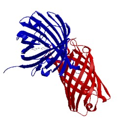 Image of CATH 2pxw