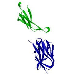 Image of CATH 2pxy