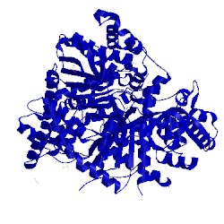 Image of CATH 2pyd