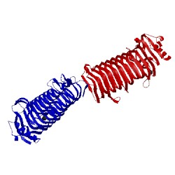Image of CATH 2pyg