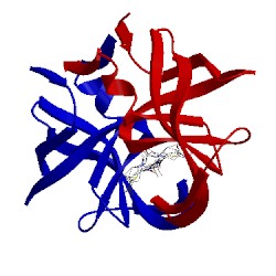 Image of CATH 2pyn