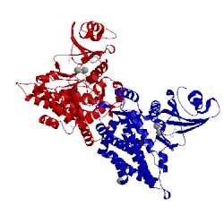 Image of CATH 2pyw