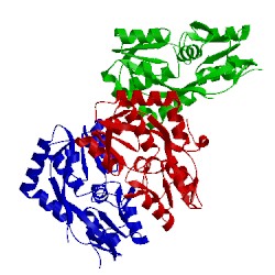 Image of CATH 2pyy
